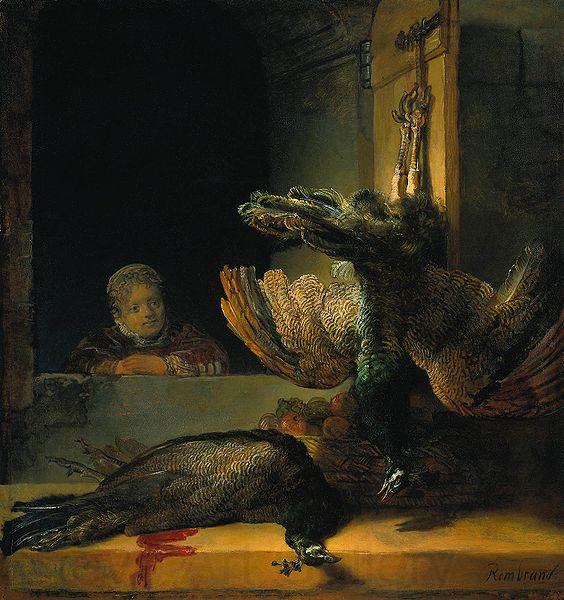 Rembrandt Peale Tote Pfauen Spain oil painting art